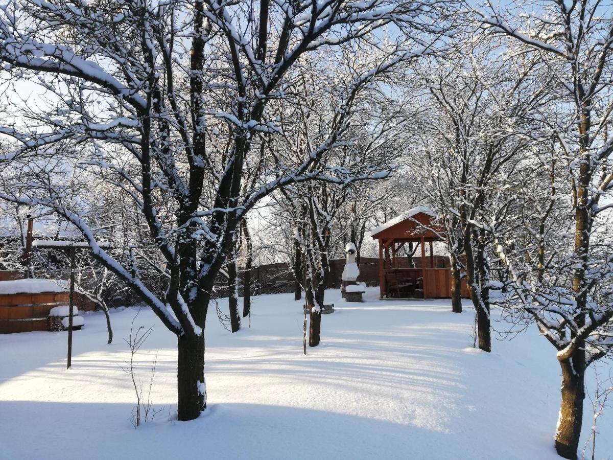 Drevenica Silvia Villa Liptovský Mikuláš Eksteriør bilde